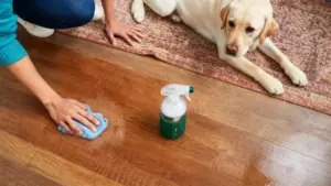 Persona pulisce il pavimento in legno vicino a un cane sdraiato su un tappeto