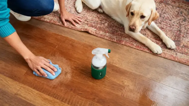 Persona pulisce il pavimento in legno vicino a un cane sdraiato su un tappeto