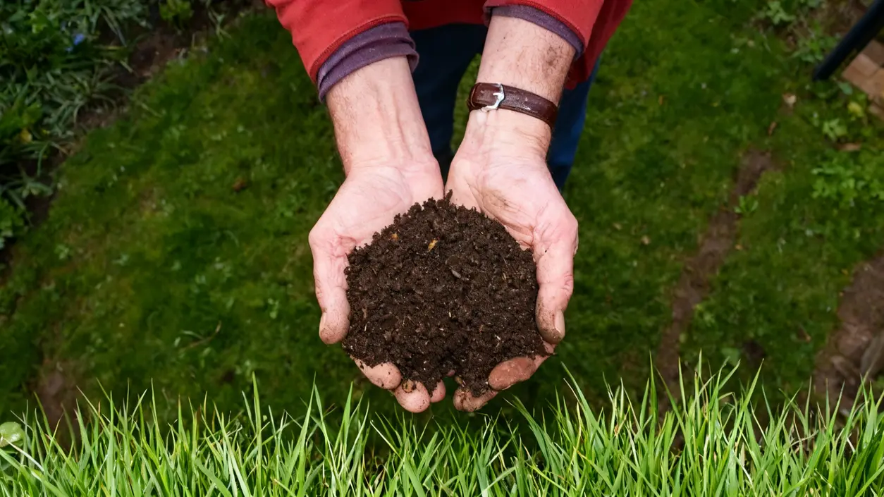 Mani che tengono del terriccio scuro sopra un prato verde
