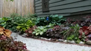 Aiuola ombreggiata con piante ornamentali a foglia larga accanto a una casa in legno