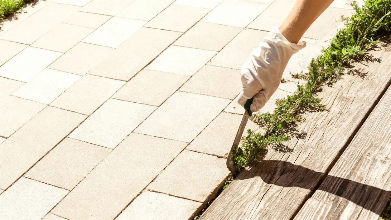 Mano con guanto rimuove erbacce dalle fughe di un vialetto lastricato
